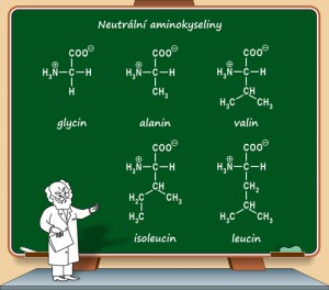 neutralni-aminokyseliny.jpg